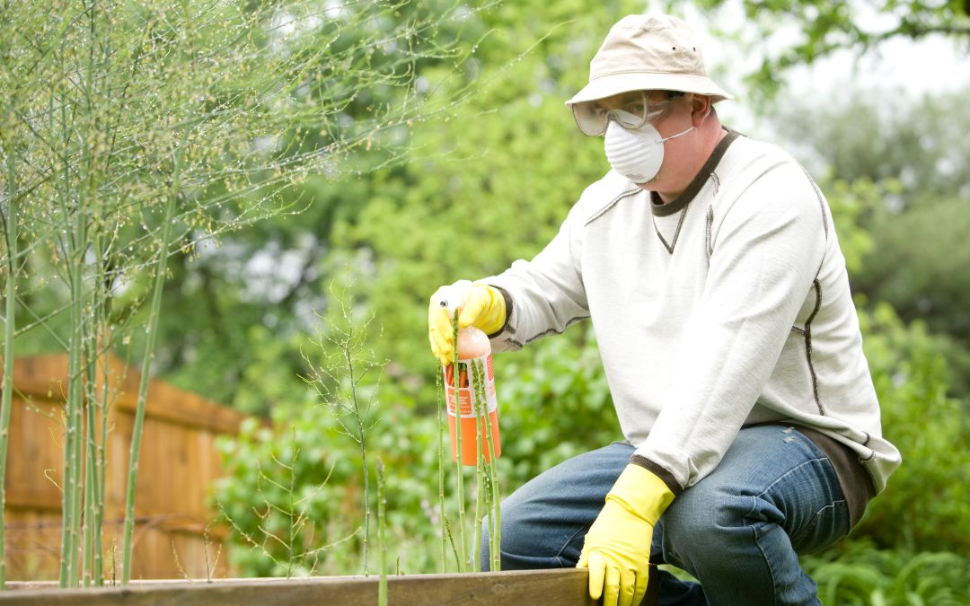 Different Ways to Utilize Chemical Pest Control for Your Garden