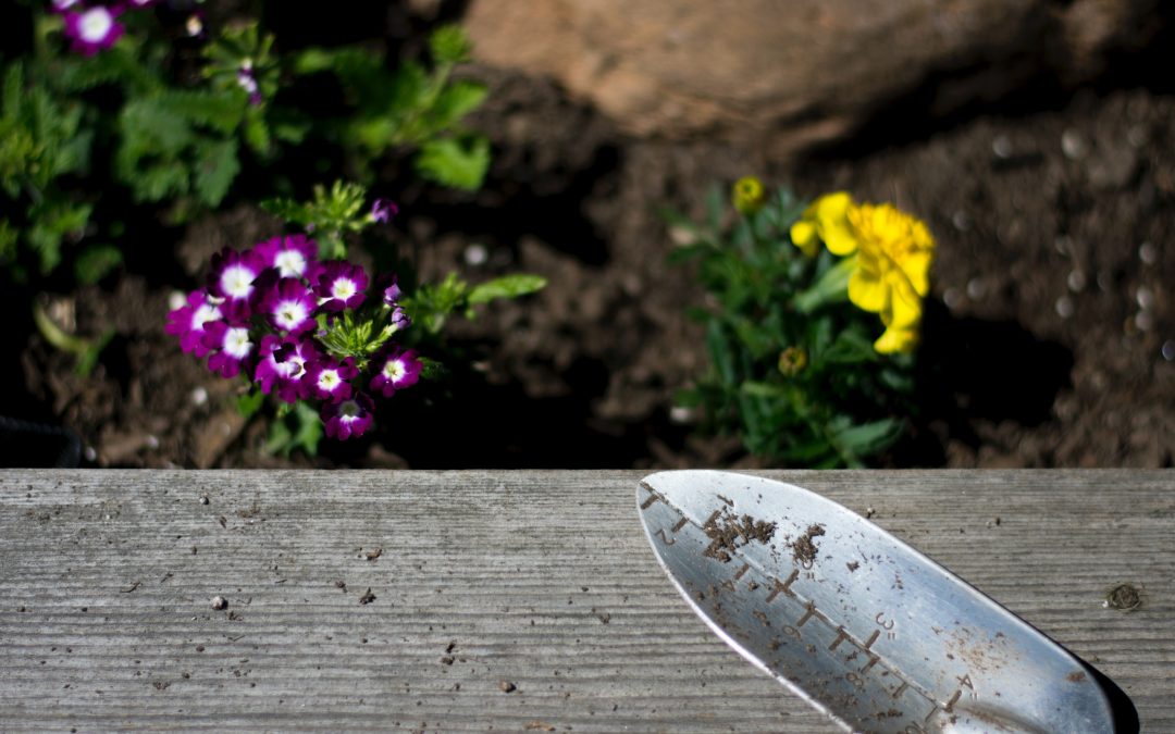 What a Garden Trowel Is and Why You Need One