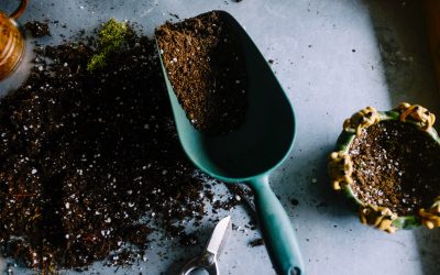 5 Essential Gardening Tools for Taking Care of Your Plants and Flowers