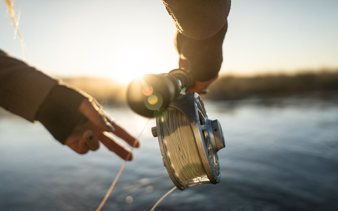 6 Essential Fishing Gears You Need to Start Fishing