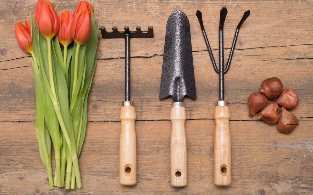 Creative Gardening Tools You Should Try Out Today